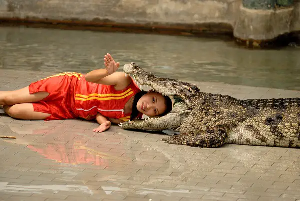 This image has an empty alt attribute; its file name is Croc-and-Women.jpg