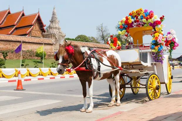 Lampang Horse Carriage 